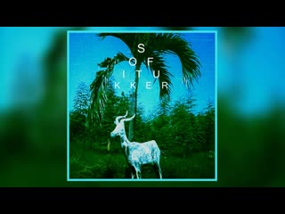 Sofi tukker drinkee