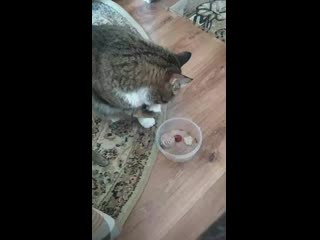 Vid 20200906 135537 mp4