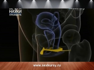 3 урок клиторальный оргазм