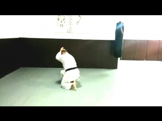 Budo renshu 49 60 kata