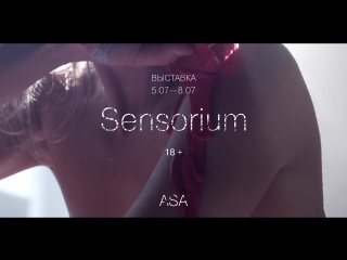 Sensorium asa exhibition