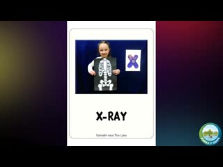 Funny bunnies our body alphabet