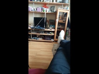 Live ребятки щербинка, бутово