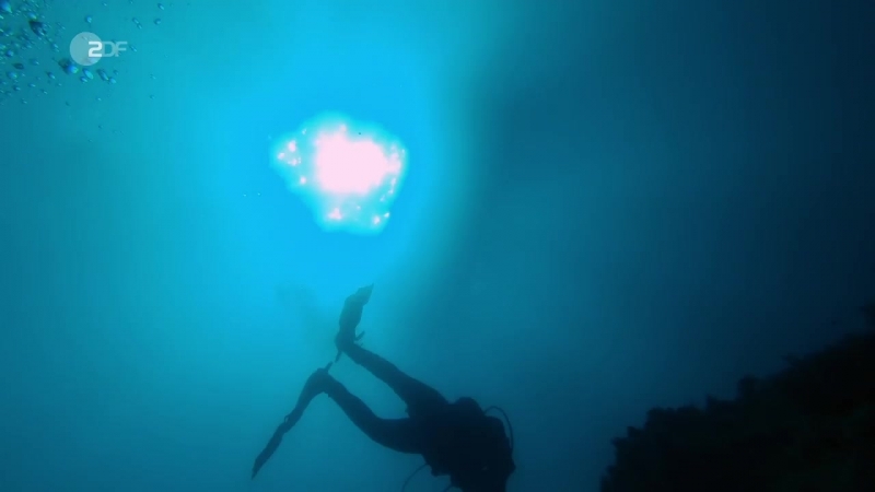 Korsika wilde schönheit