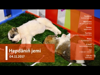 Hepdäniň jemi – 04 11 2017