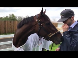 Wonder gadot, with casse assistant marcus ford, enjoying some peppermints and a little dr green on saturday at oaklawn