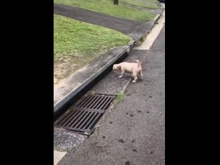 Видео от 24 градуса лабытнанги