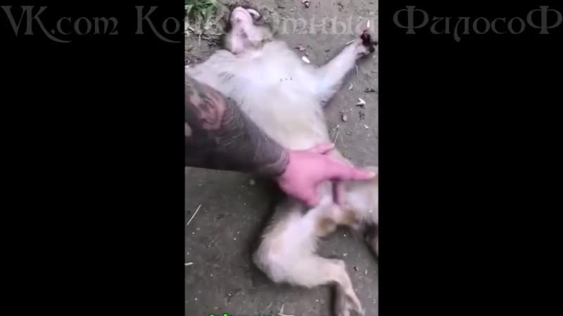 Нажми на кнопку