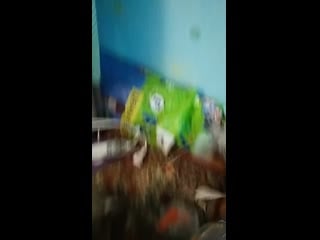 Vid 20190316 204220 mp4