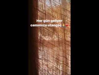 Instagram post by ugur demirpehlivan 05 07 17