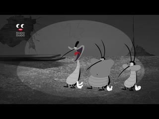 7x10 bleached! [436]