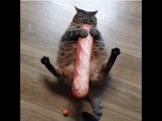 Big bread