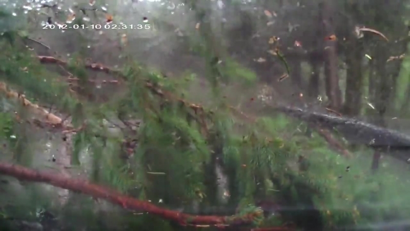 Оползень лес упал на машину