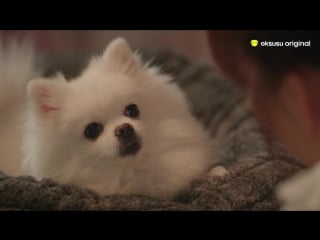 |170610| sbsplus drama "wednesday at 330 pm" ep 11