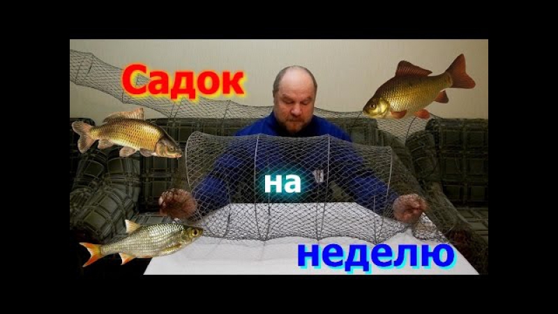 Карась,плотва,карп садок на неделю