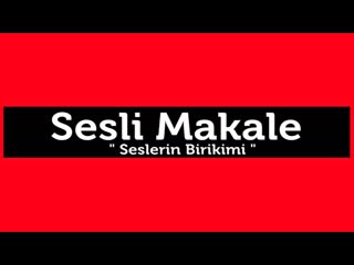 Ergün diler son perde