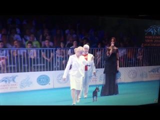 Джернел инар черный ворон wds 2016 puppy red dgernel is zamka priora & hunter bagira black nait заводчик