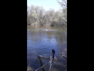 Эсхар 21 04 18 речка 02