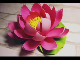 Video guru 20191018 204850196 mp4