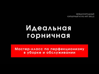 Идеальная горничная мастер класс по перфекционизму в уборке и обслуживании