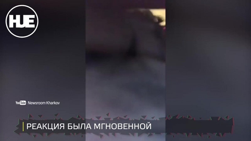 В украине на свадьбе избили телеведущую ответила за ганна