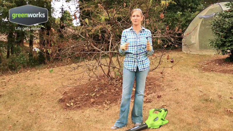 Greenworks g max 40v digipro brushless blower vac