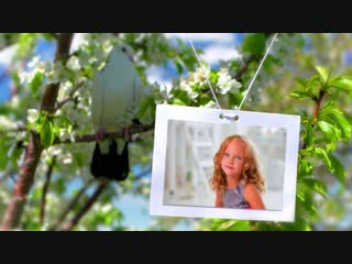 Проект голуби