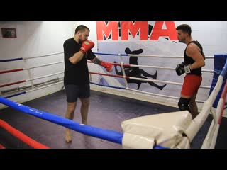 Барсук леха