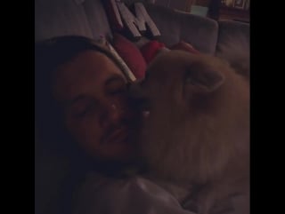 Instagram video by tatiana volosozhar • долгожданная встреча😝🐶 #love #любовьнавеки