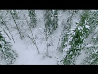 Welcome to russia | aiesec