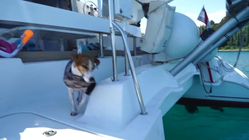 Молодые джина спасатель плавает в жилете первый раз яхта элли ди | elli di pets