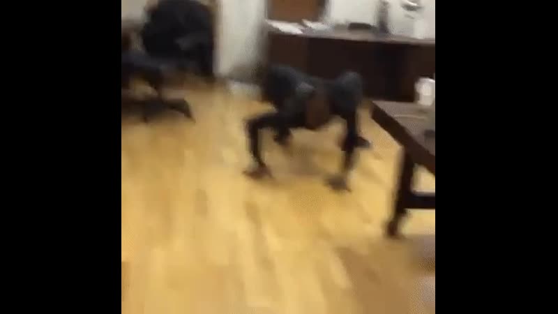 Когда рождён человеком, но чувствуешь себя пауком