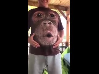 Футболка с обезьяной на пузе