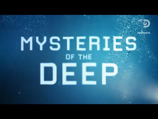 🌊 джepeми уэйд тайны окeaнa (2 сезон, 1 серия 2022)