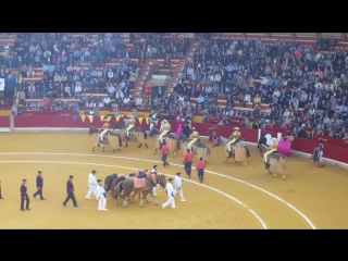 España, zaragoza 2015, pilares, corrida