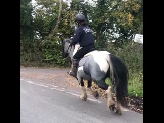 Miss crazie maisie 20191115 6 mp4