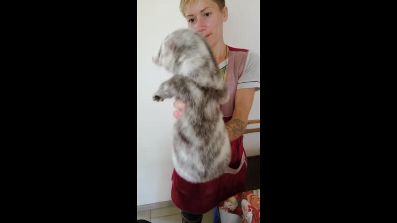 Красивая норка