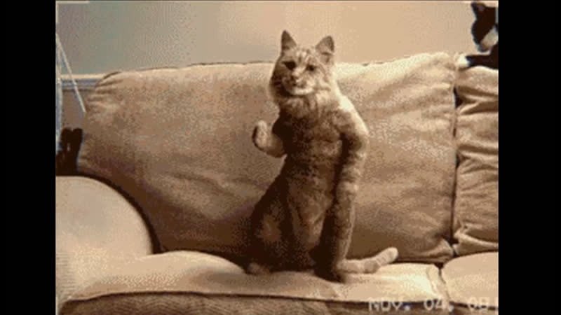 Конец света апокалипсис доктрина будущего