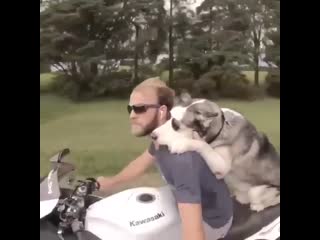 Biker cartel 20200929 223537 0 mp4