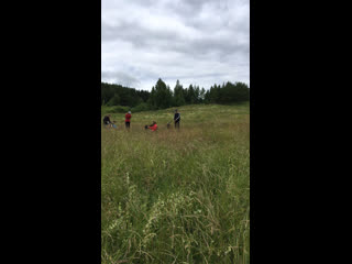 Live тёплая лапа ирбиса