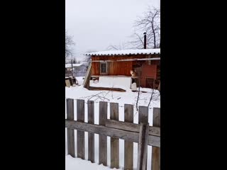 Video 20210130 132639 mp4