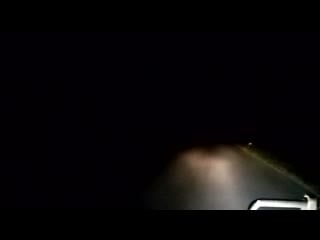 Молодой козлик