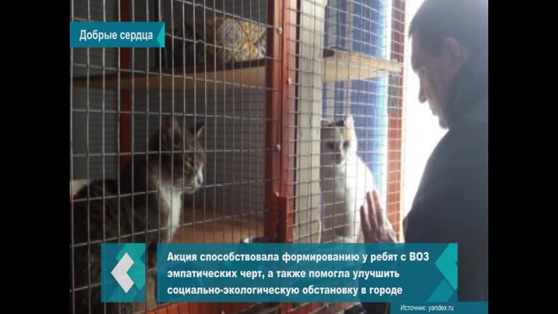 Молодые люди с ограниченными возможностями помогли приют для секс