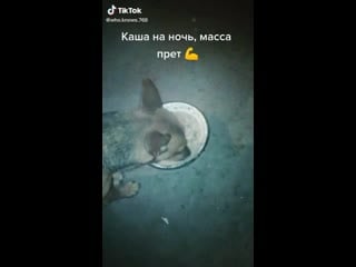 Масса прет девочки и тик ток