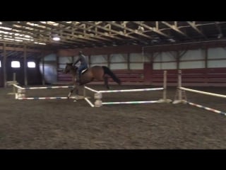 Move over bunny harper's got all the hops we need