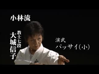 Okinawa karate shorin ryu kata passai (sho) 沖縄空手小林流 「パッサイ（小）」