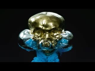 Macro room 360 slow motion