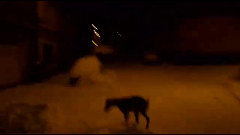 Vánoční pozdrav z prahy ) 9295