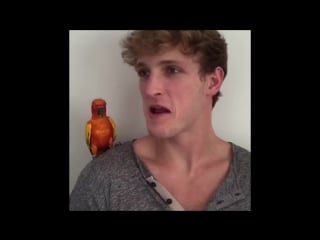 Logan paul best wingman