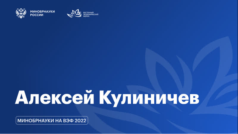 Вэф / интервью с алексеем кулиничевым